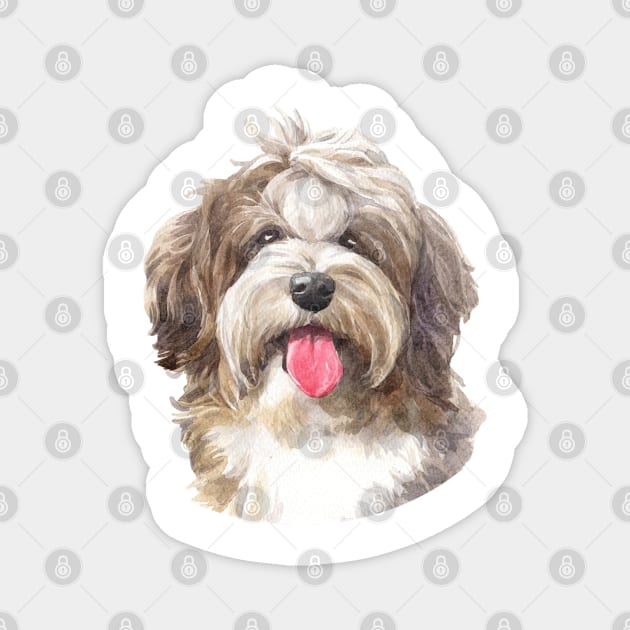 Chocolate Havanese Watercolor Art Magnet by doglovershirts