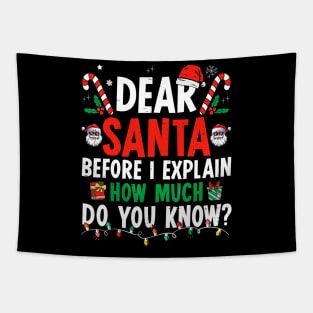 Dear Santa I Can Explain Funny Christmas Tapestry