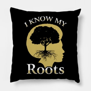 I Know My Roots Black Pride Design Pillow