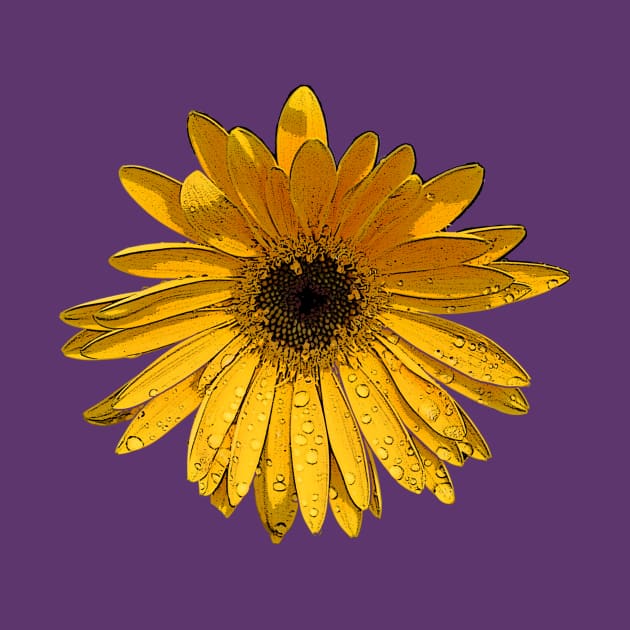 Sunflower by MonarchGraphics