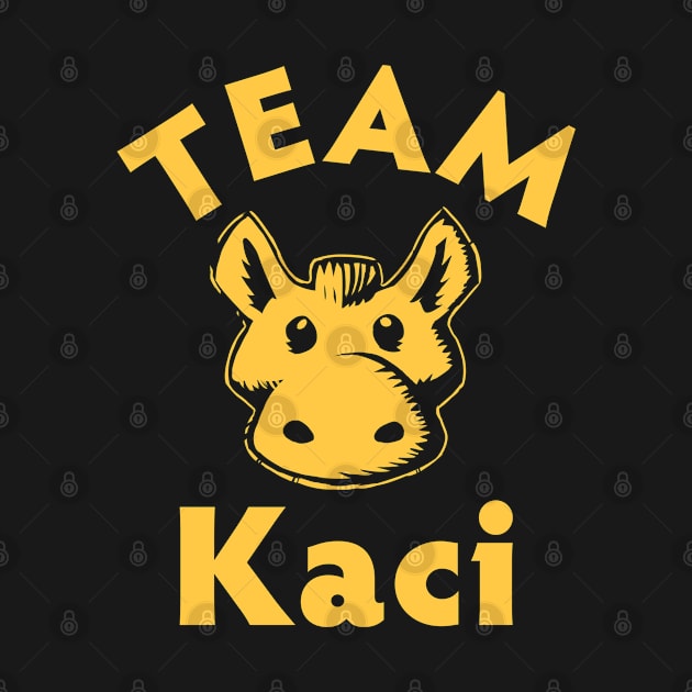 Dota 2 - Team Kaci All-Star Match by Reds94