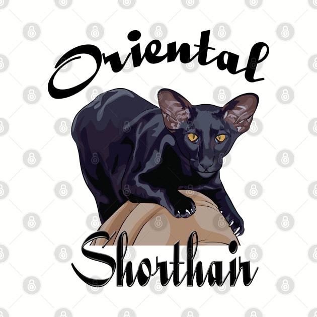 Oriental Shorthair cat by artsytee