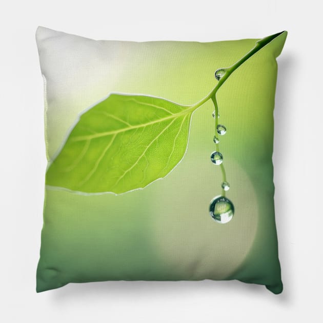 Leaf Water Drop Nature Serene Tranquil Pillow by Cubebox