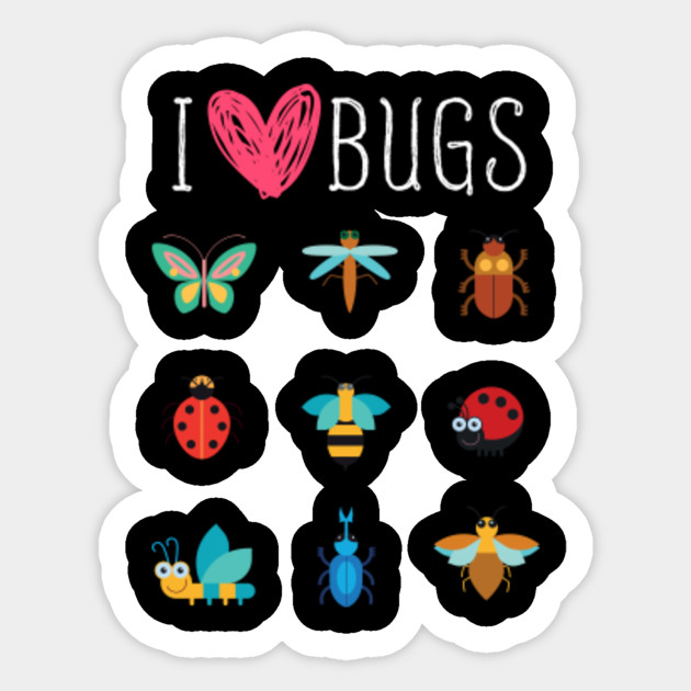 bug gifts for kids