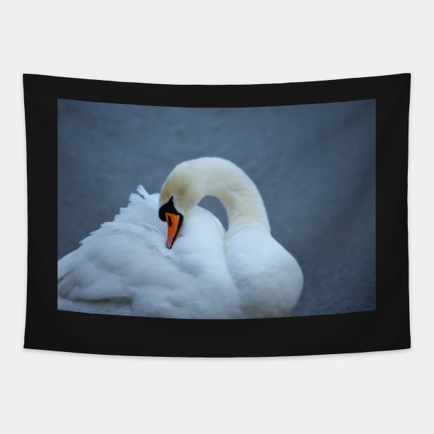 Mute Swan Tapestry by LaurieMinor