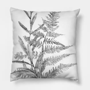 Hand-drawn leaf of fern and branch Pillow