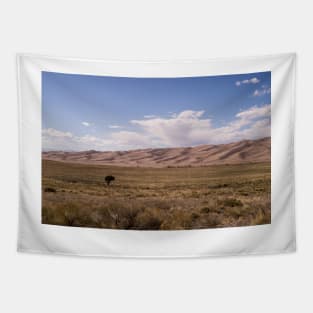 Ali dunes Tapestry