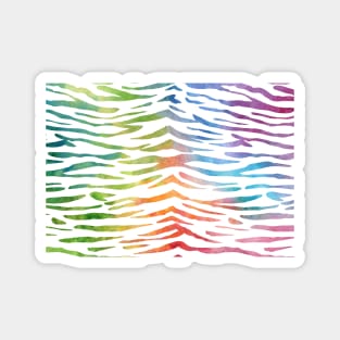 Rainbow Zebra Pattern Magnet