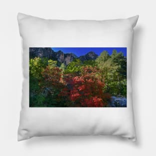 Guadalupe Mountains National Park McKitrick Canyon Pillow