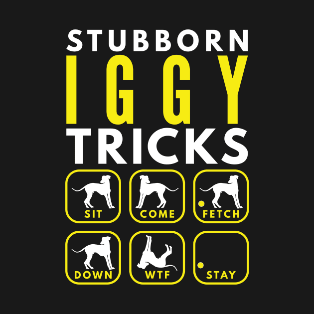 Stubborn Iggy Italian Greyhound Tricks - Dog Training by DoggyStyles