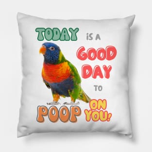 Rainbow lorikeet, Loriini bird, Parrot, Parakeet, Today is a good day to poop on you Pillow