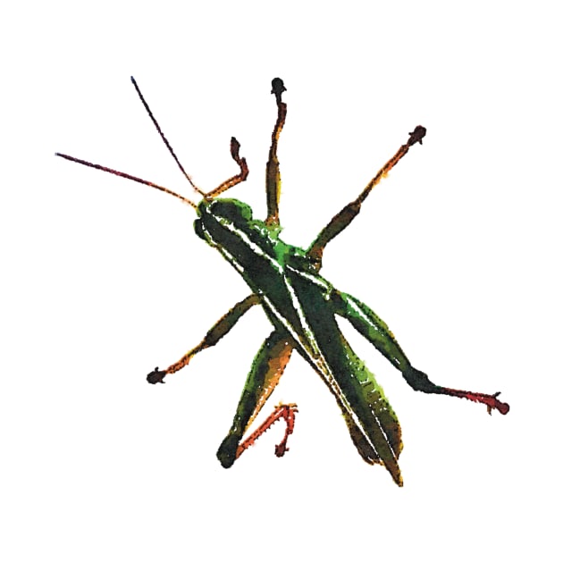 Green Grasshopper Climbing Watercolor Style by Griffelkinn