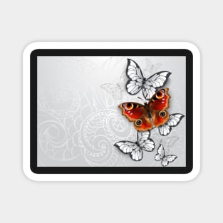 Gray Background with Peacock Butterfly Magnet