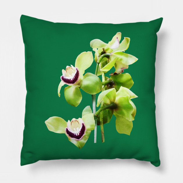 Orchids Green Cymbidium Orchids Orchid Pillow Teepublic