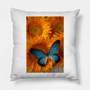 Big Blue Butterfly On Sunflowers Pillow