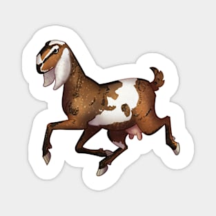 Cozy Goat Magnet