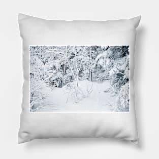 Powder Day Pillow