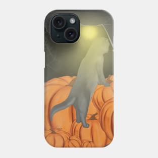 Halloween cats with pumpkin Phone Case