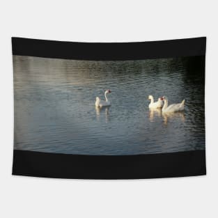 geese in Trojan pond, near Goble, Oregon 2 Tapestry