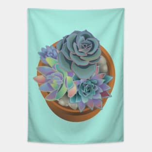 Succulent pot Tapestry