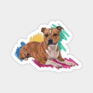 The Staffordshire Bull Terrier Magnet