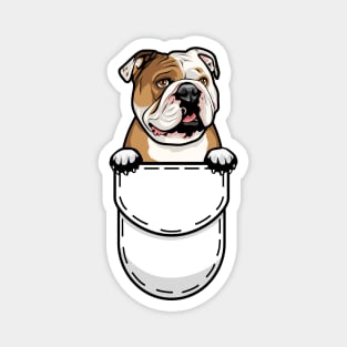 Funny English Bulldog Pocket Dog Magnet