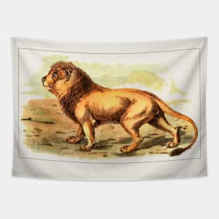 Lion Illustration Tapestry