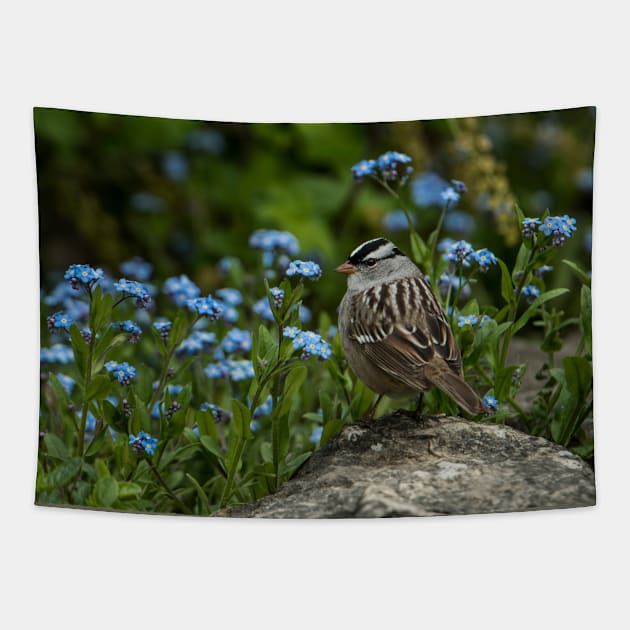 White Crowned Sparrow Tapestry by jaydee1400