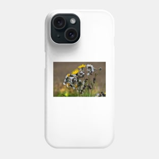 Dandelion  life cycle Phone Case