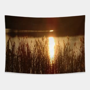 Golden Reflection Tapestry