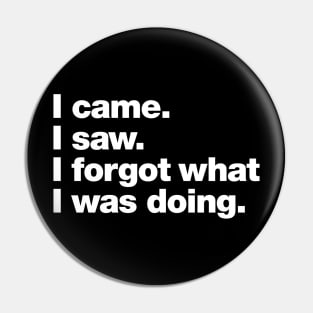 I came. I saw. I forgot what I was doing. Pin