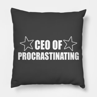 CEO of Procrastinating Pillow