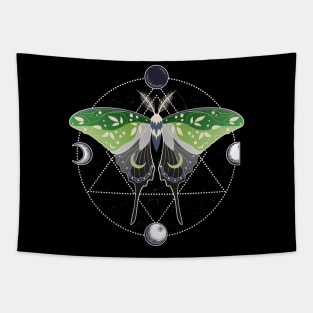 Aromantic Luna Moth Celestial Cottagecore LGBT Pride Flag Tapestry
