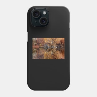 Silent Reflections Phone Case