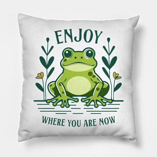 Enjoy Where You Are Now - Frog Pillow