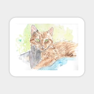 Ginger tabby cat portrait Magnet