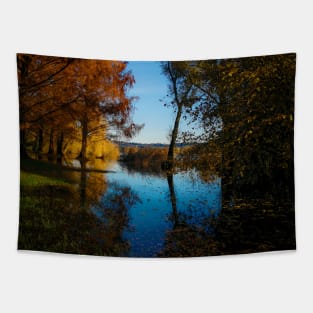 Photography color lake and sky, autumn fallen leaves Tapestry