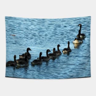 Canada Geese Swimming In A Row Tapestry