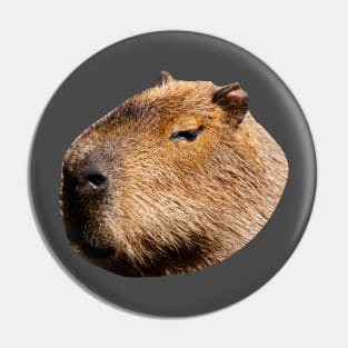 Capybara Profile Pin