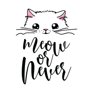 meow or never T-Shirt