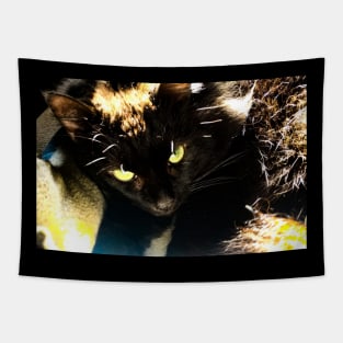 Green eyed black cat Tapestry