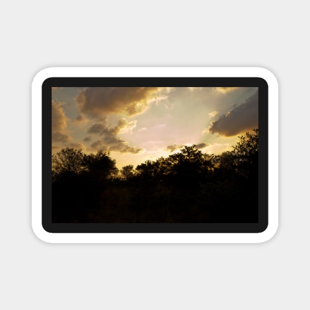 African Sunset #2 Magnet by johnwebbstock