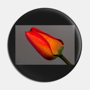 Red Tulip Pin