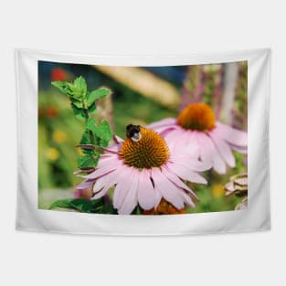 Echinacea Purpurea with Bee Tapestry