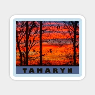 Tamaryn band fan Magnet