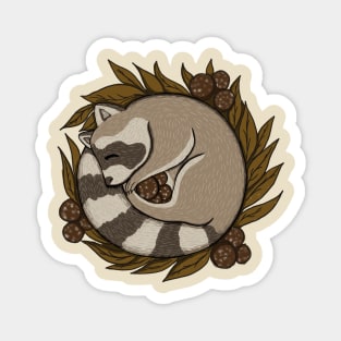 Vintage Sleeping Raccoon Magnet