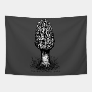 The Morel Tapestry