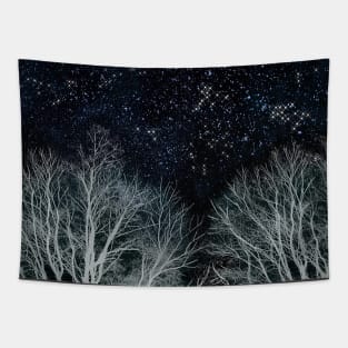 Night vision Tapestry