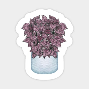 Purple Fittonia Plant Magnet