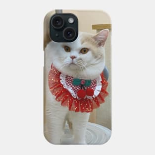 the handsome white cats Phone Case
